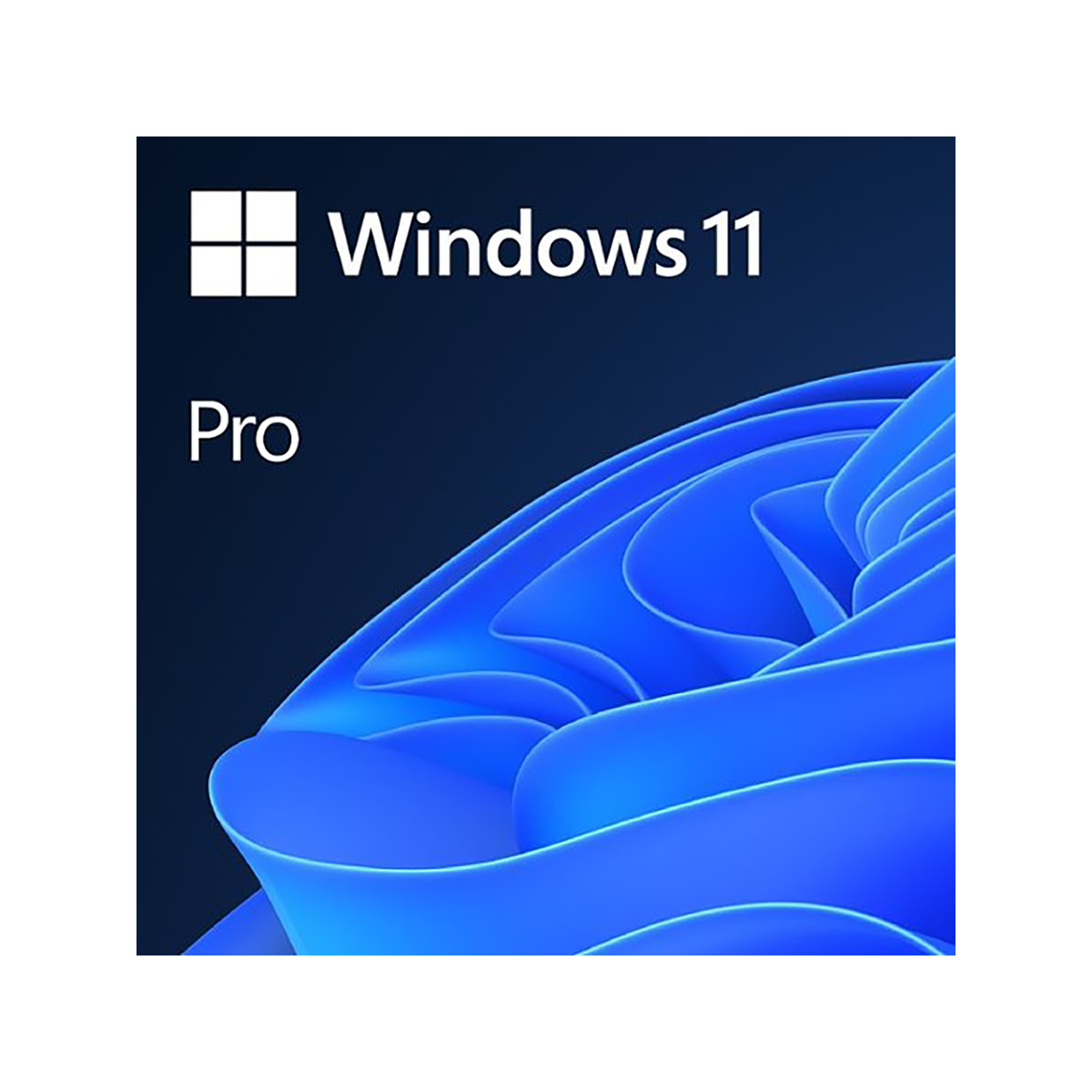 Software
